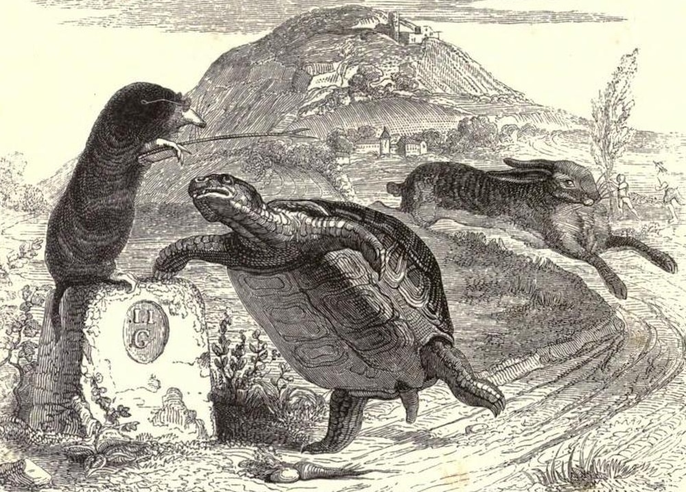 Tortoise Defeats Hare